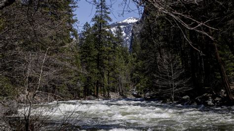 A hiker is missing in Yosemite after being swept away by a fast-flowing creek